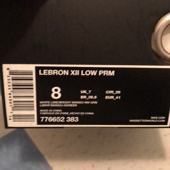 Lebrons - Picture 3 of 4